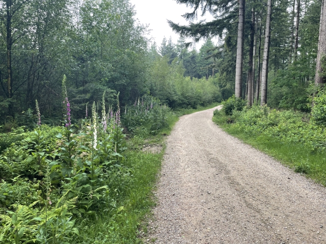 Dag 9